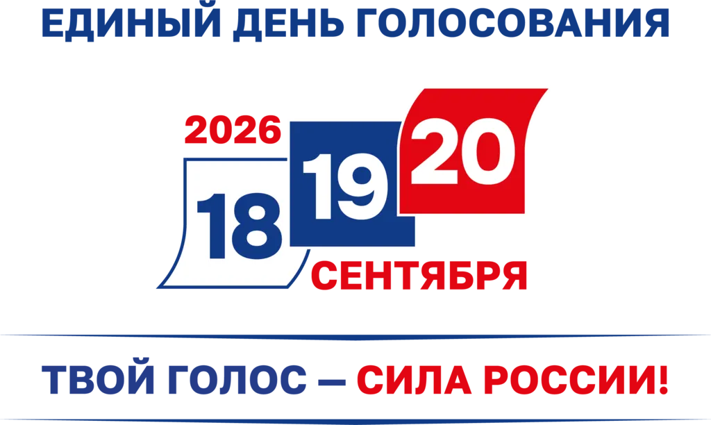выборы